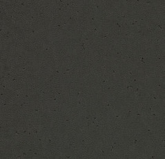 Линолеум Forbo Sphera Energetic 50203 pitch black фото 1 | FLOORDEALER